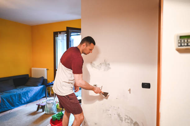 Best Health and Safety Mold Remediation in Phoenix Lake, CA